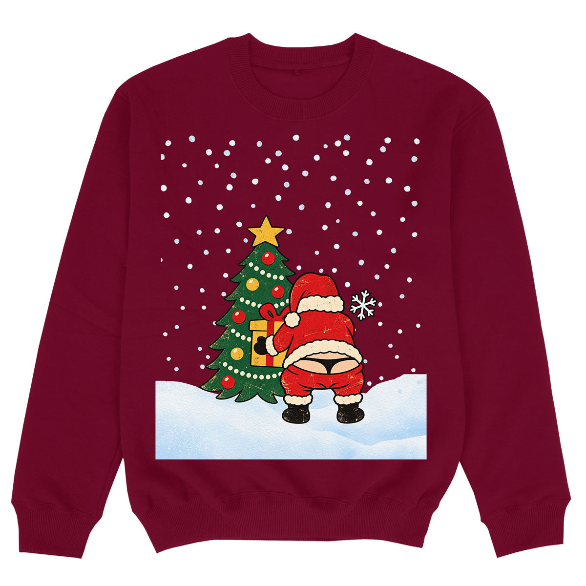 SANTA'S PRESENT - Premium Sweater
