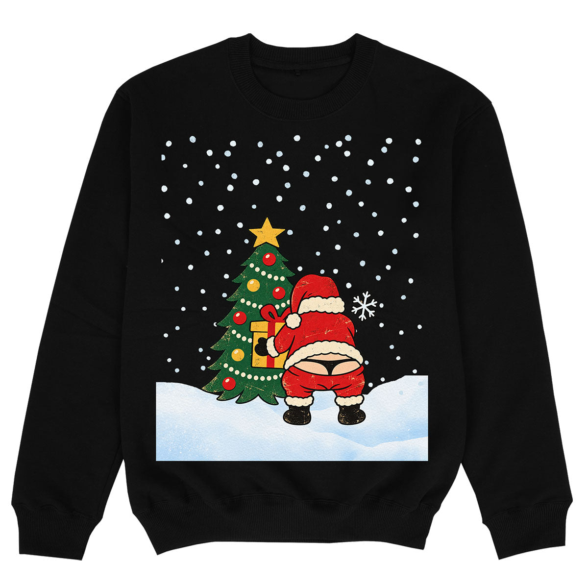 SANTA'S PRESENT - Premium Sweater